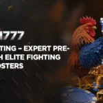 Knife Cockfighting Expert Predictions with Elite Fighting Roosters