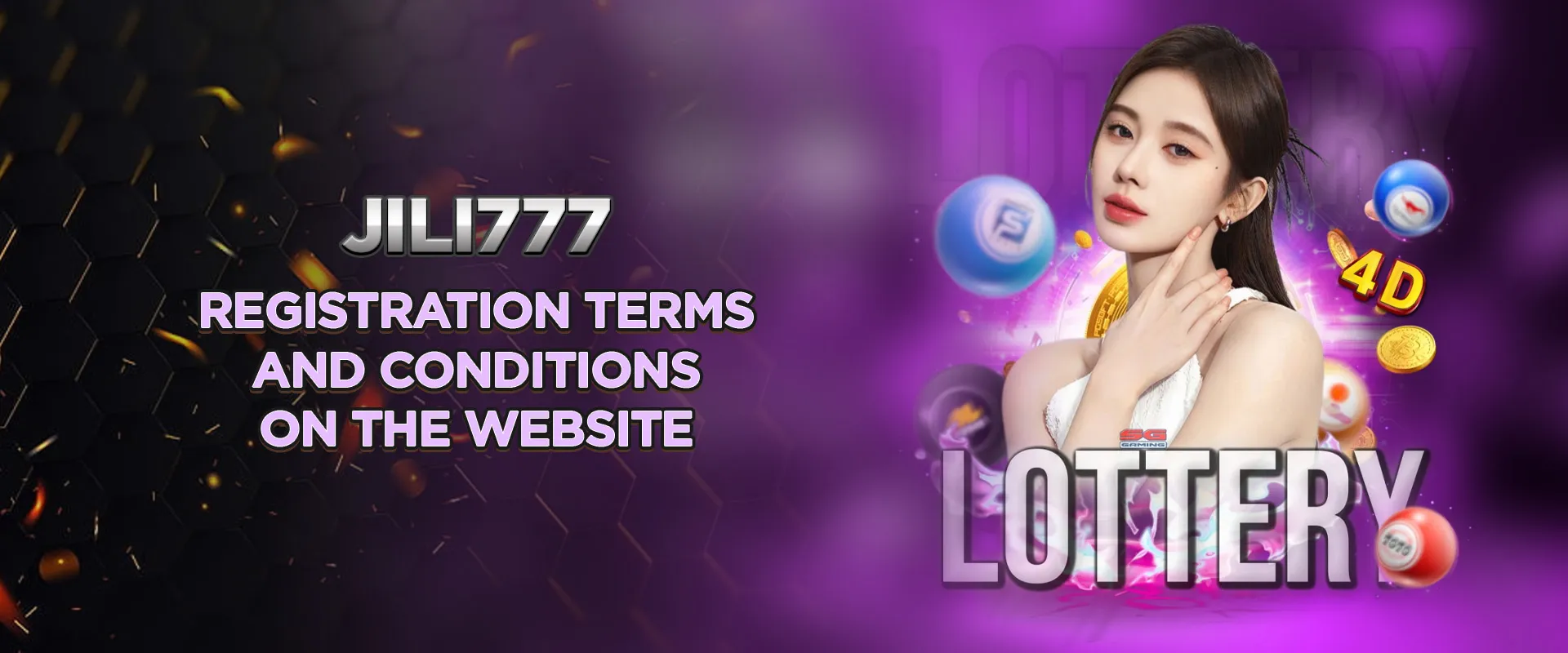 Registration terms and conditions on the website
