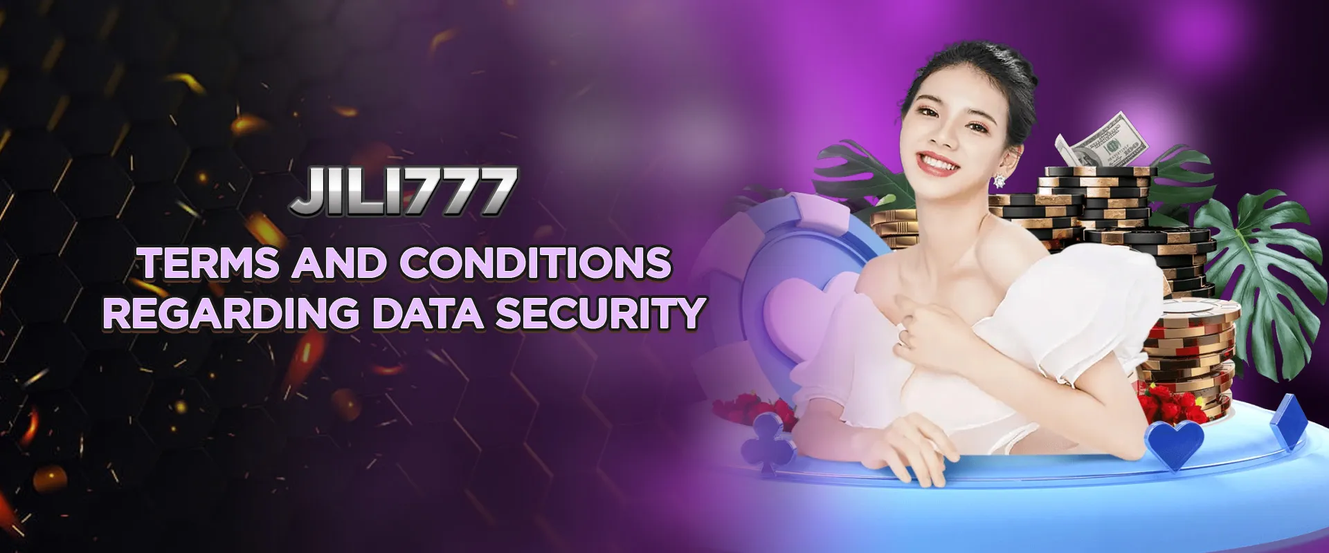 Terms and conditions regarding data security