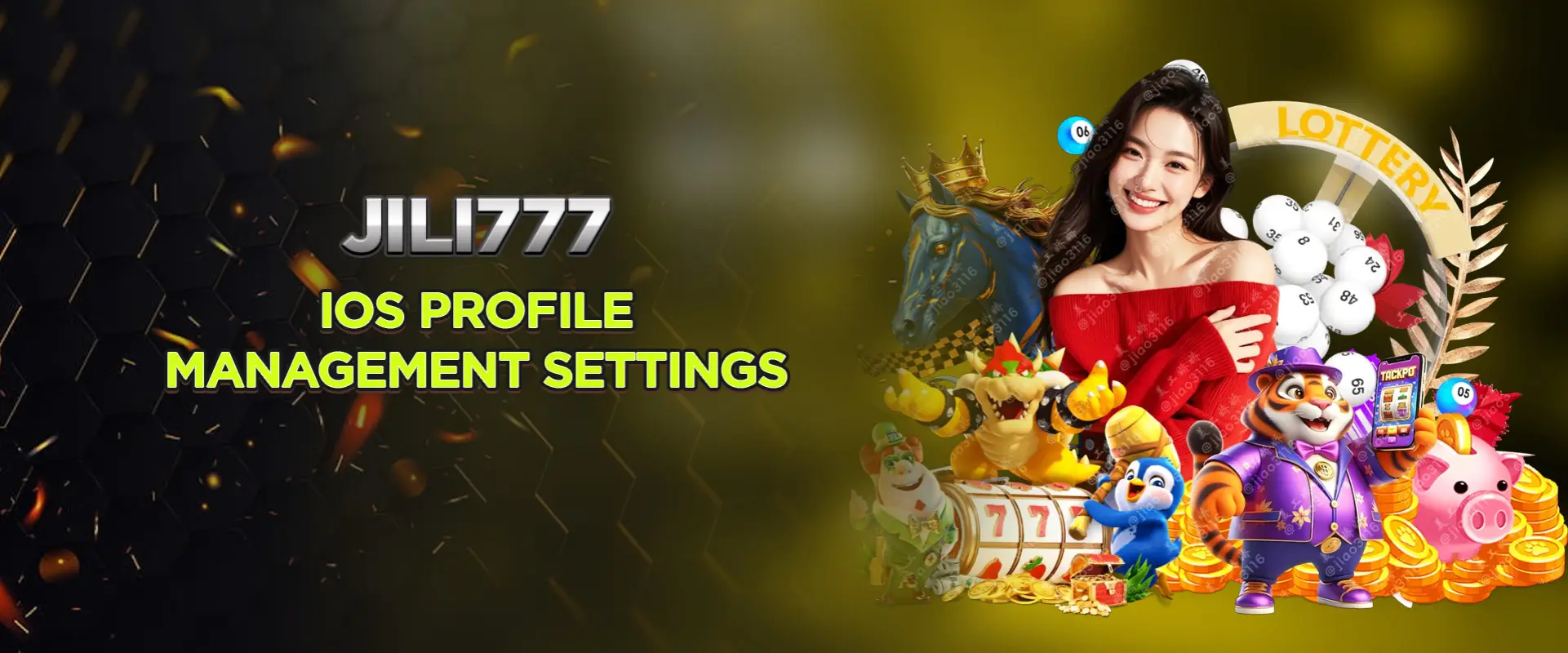 iOS profile management settings
